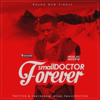 small DOCTOR – “Forever”